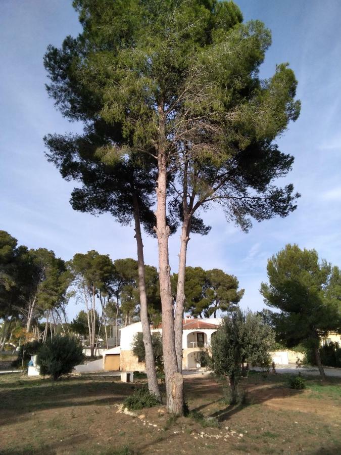 Apartmán Pinomar Teulada Exteriér fotografie